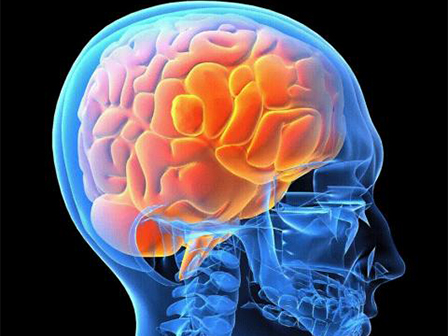 Онкологические заболевания головного и спинного мозга